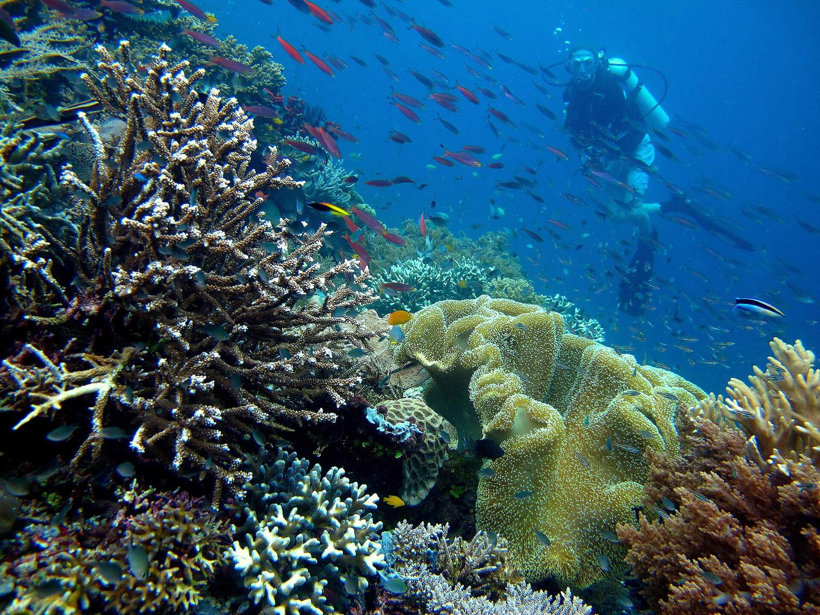 Indonesian Wildlife and Cultural Journey