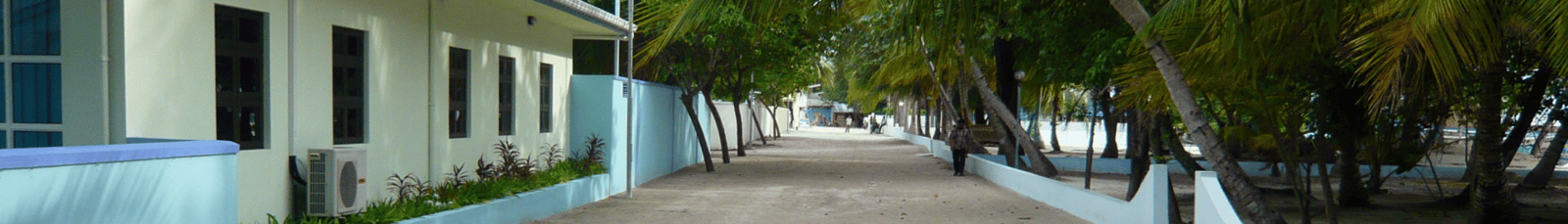 Experience Rasdhoo Island: Diving, Guesthouses and Transfer Planning