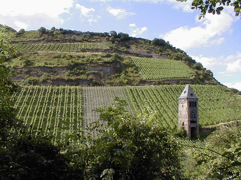 Experience Middle Rhine Valley: Castles, Rail and River Views