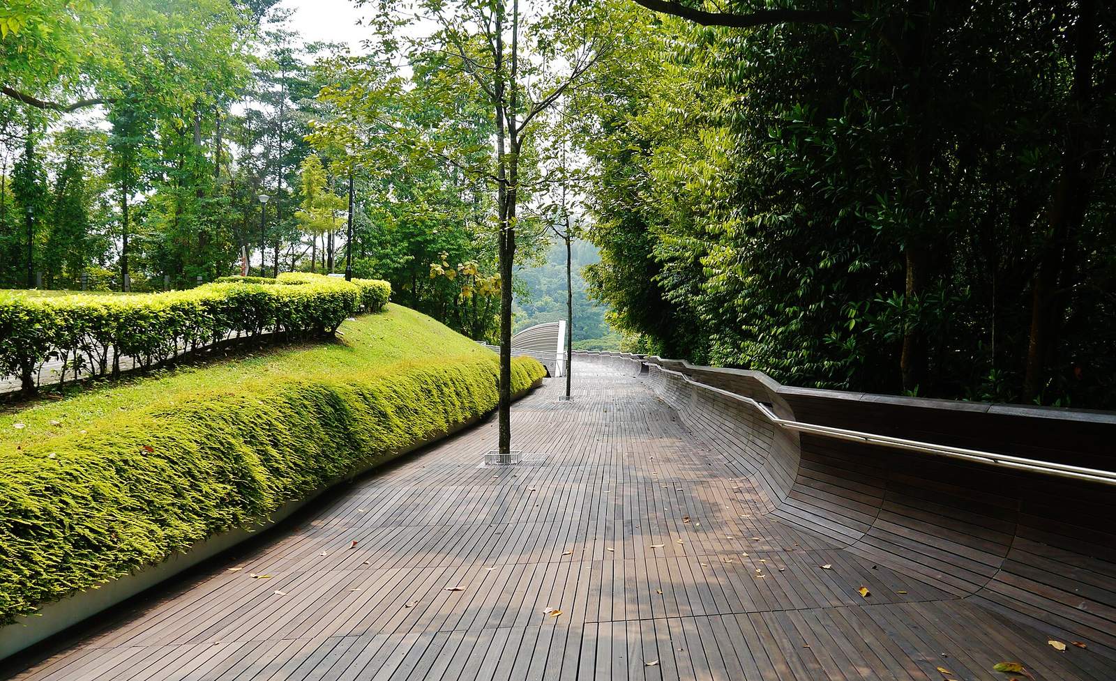 Experience Southern Ridges: Trail Planning and Park Connections
