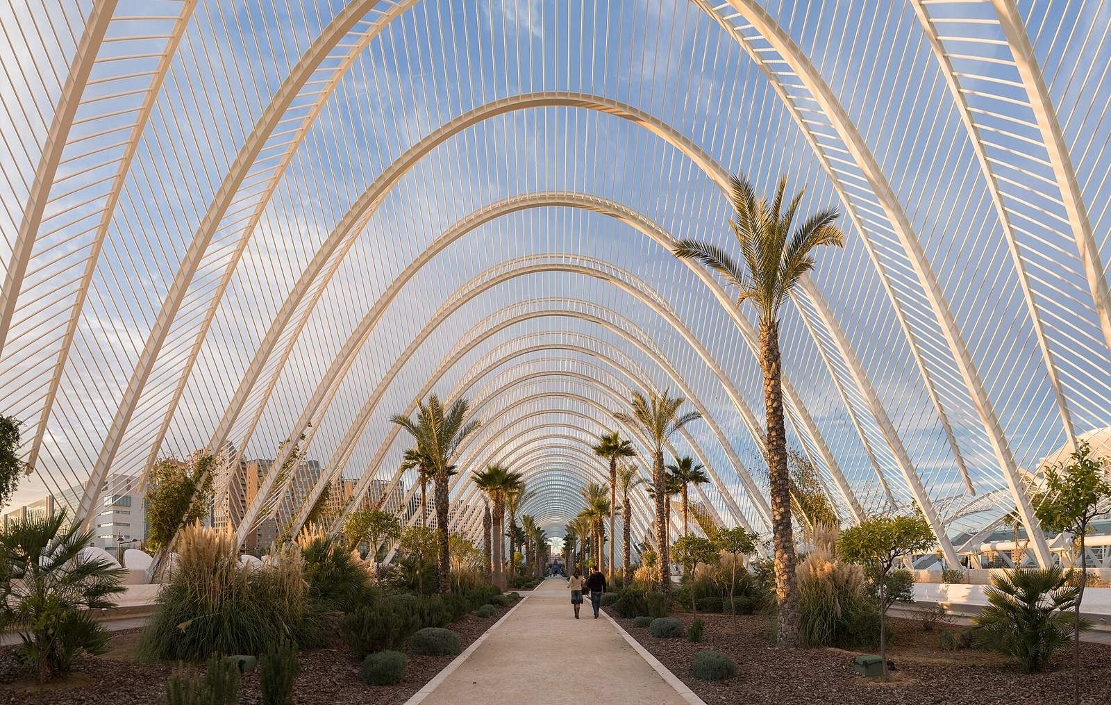 Experience Valencia