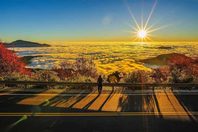Family Tour of Taiwan