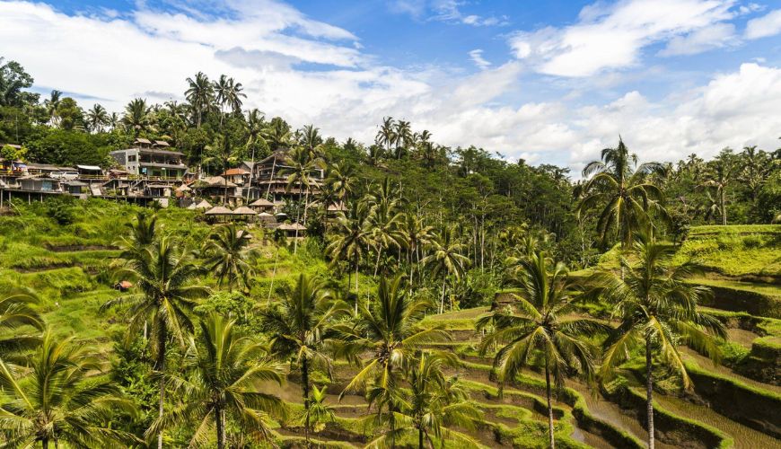 Spend a day touring Ubud & surrounding villages
