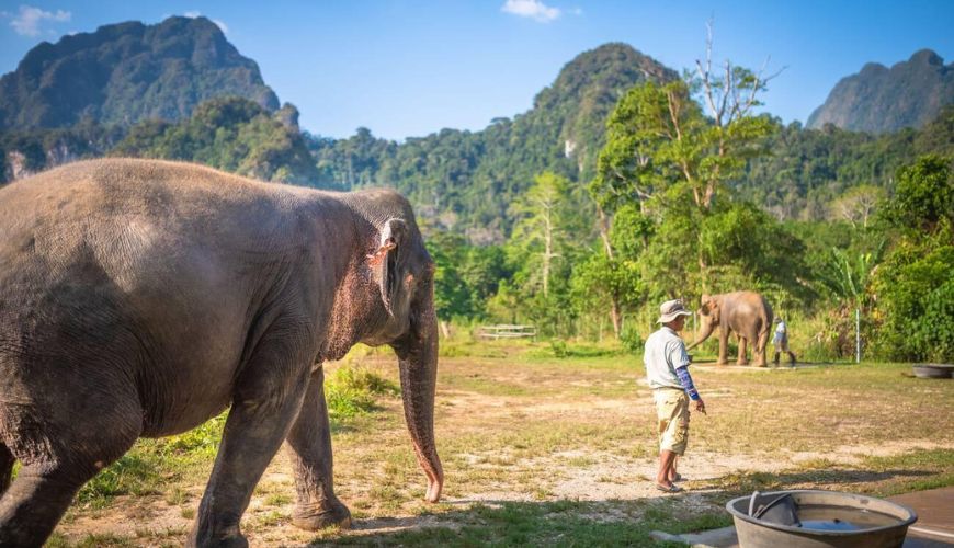 Thailand National Parks: Back to Nature