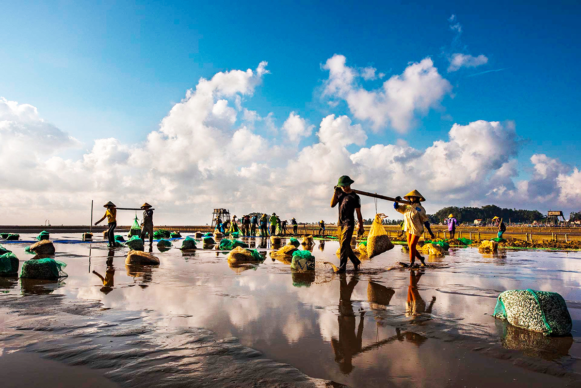 Vietnam Tours